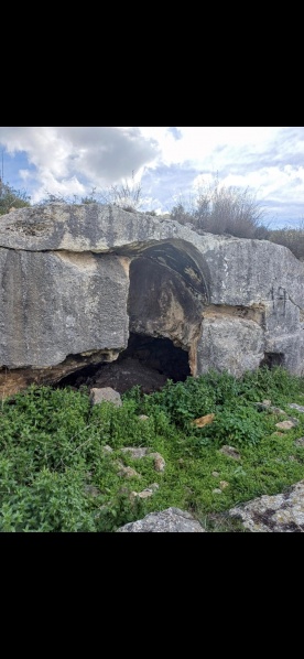 קובץ:2025-05-27T11 29 06.606385187980.jpg