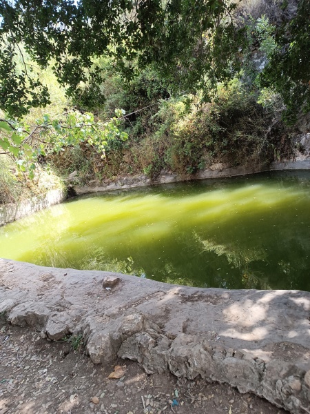 קובץ:2025-05-27T14 50 37.297627432961.jpg