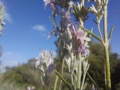 תמונה ממוזערת לגרסה מתאריך 14:11, 27 במאי 2025