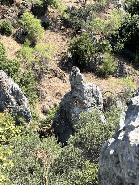קובץ:2025-05-27T18 37 04.861284320577.jpg