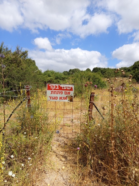 קובץ:2025-05-28T09 43 04.174936313011.jpg
