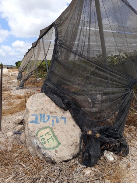 קובץ:2025-05-28T11 21 47.945148842655.jpg