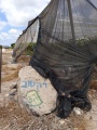 תמונה ממוזערת לגרסה מתאריך 08:00, 28 במאי 2025