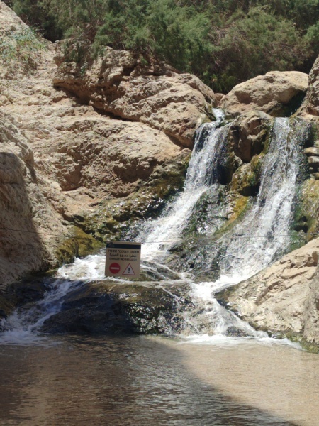 קובץ:2025-05-28T12 33 36.787592159175.jpg