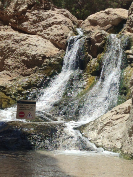 קובץ:2025-05-28T12 34 03.600797166150.jpg