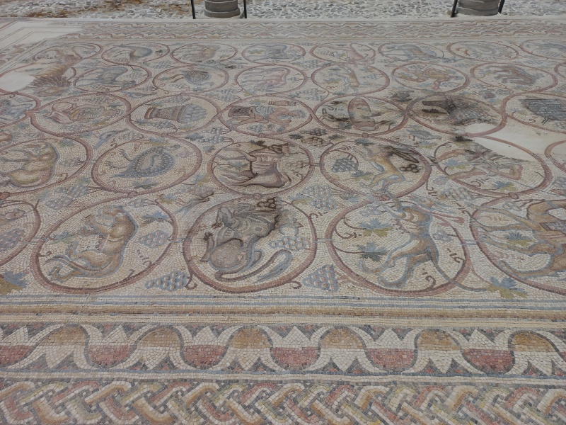 קובץ:2025-05-28T12 59 50.522197593730.jpg
