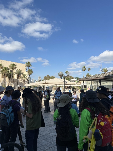 קובץ:2025-05-28T17 09 36.611649566928.jpg