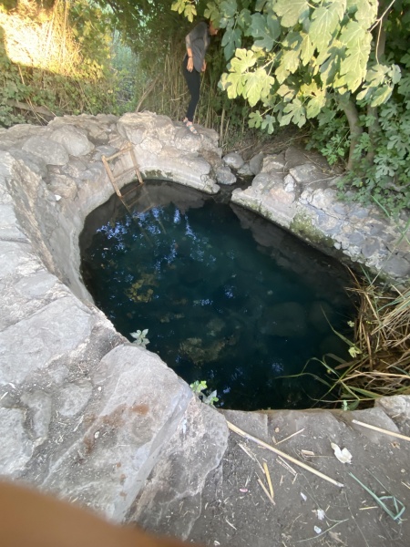 קובץ:2025-05-28T19 17 26.645035605220.jpg
