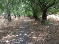 תמונה ממוזערת לגרסה מתאריך 07:08, 29 במאי 2025