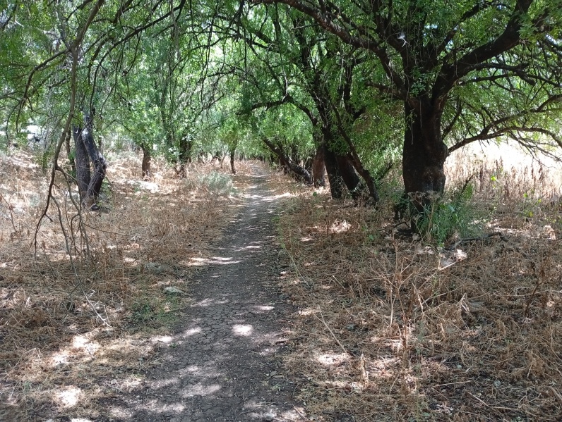 קובץ:2025-05-29T10 28 28.40293868059.jpg