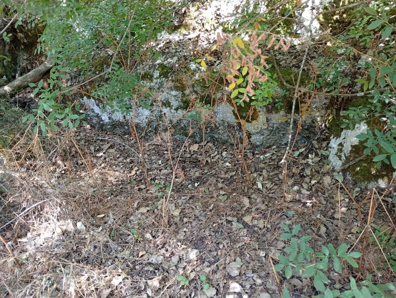 קובץ:2025-05-29T10 32 37.486126436422.jpg