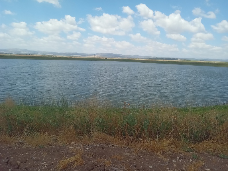 קובץ:2025-05-29T10 42 45.25044941476.jpg