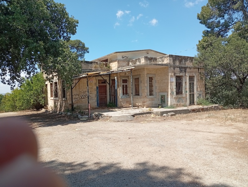 קובץ:2025-05-29T10 54 12.073847965644.jpg
