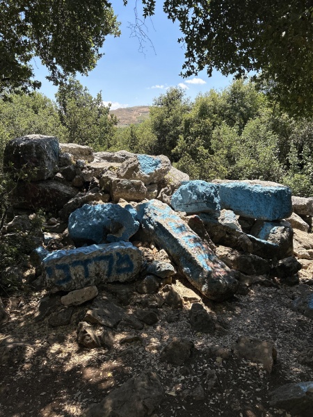 קובץ:2025-05-29T11 30 03.607044856849.jpg
