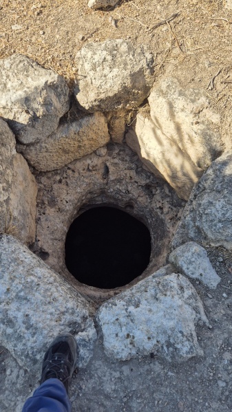 קובץ:2025-05-29T16 32 57.187170432328.jpg