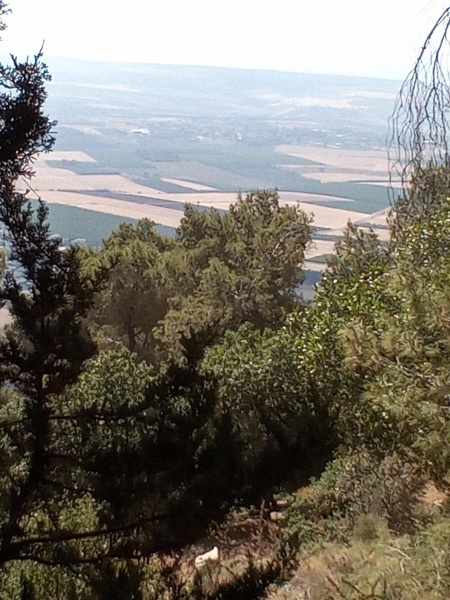 קובץ:2025-05-30T09 27 11.117745435039.jpg