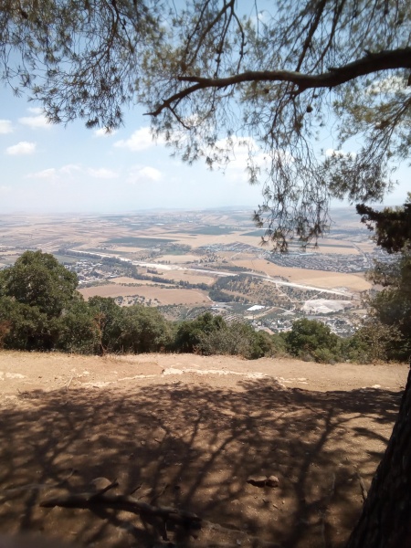 קובץ:2025-05-30T10 54 27.166974870039.jpg