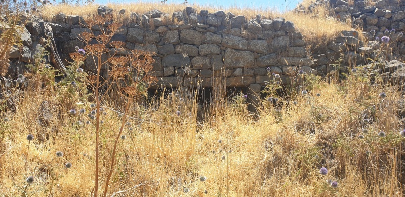 קובץ:2025-05-30T11 10 02.905989683128.jpg