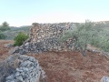 תמונה ממוזערת לגרסה מתאריך 11:10, 30 במאי 2025