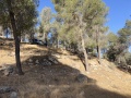 תמונה ממוזערת לגרסה מתאריך 04:09, 31 במאי 2025