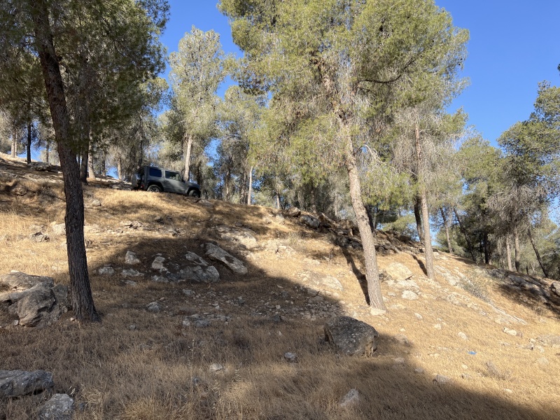 קובץ:2025-05-31T07 23 54.861615140734.jpg