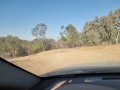 תמונה ממוזערת לגרסה מתאריך 04:36, 31 במאי 2025