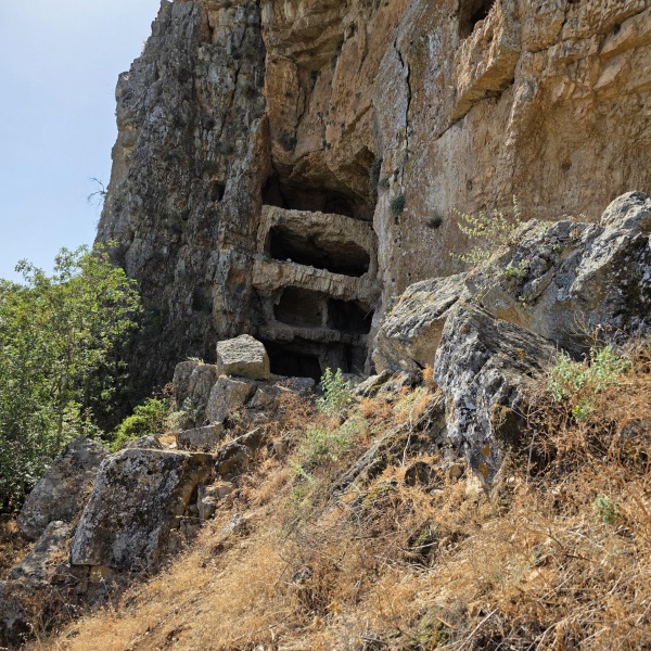 קובץ:2025-05-31T08 58 25.670872739489.jpg