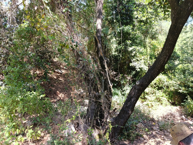 קובץ:2025-05-31T09 47 59.494166313347.jpg