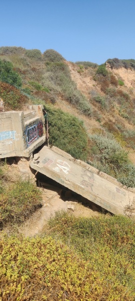 קובץ:2025-05-31T09 50 46.648269208416.jpg