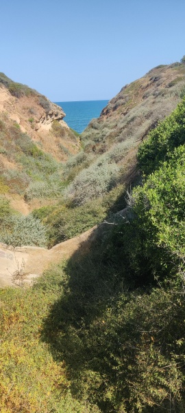 קובץ:2025-05-31T09 50 55.050344645733.jpg