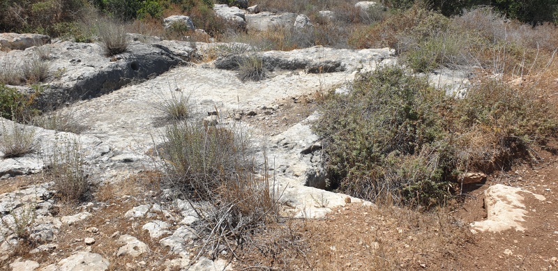 קובץ:2025-05-31T12 31 59.585928501591.jpg