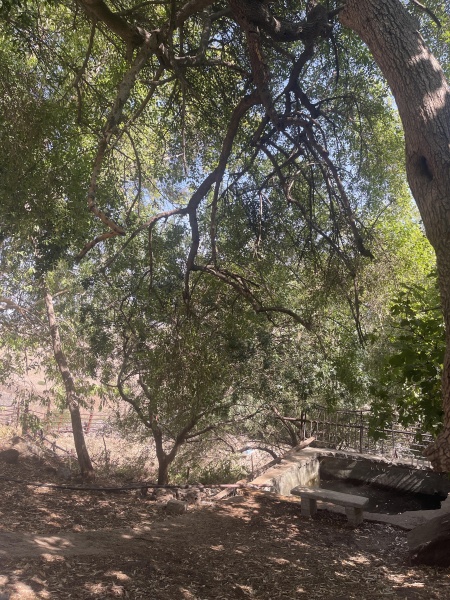 קובץ:2025-05-31T15 58 31.521719951456.jpg