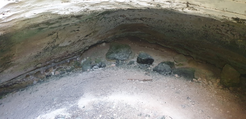 קובץ:2025-05-31T17 04 54.147820199397.jpg