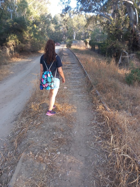 קובץ:2025-05-31T18 38 05.348847540856.jpg