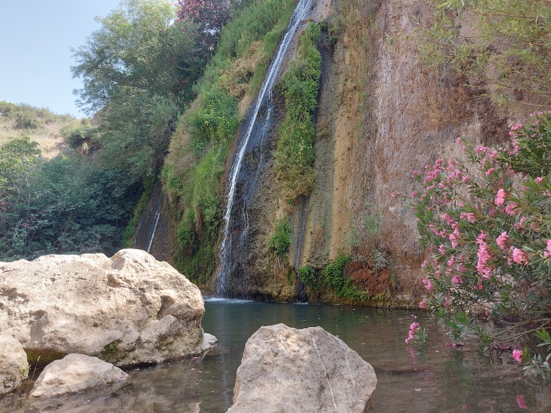 קובץ:2025-06-01T09 56 23.600215948210.jpg