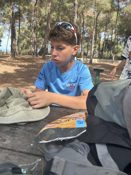 קובץ:2025-06-01T10 04 37.596645450491.jpg