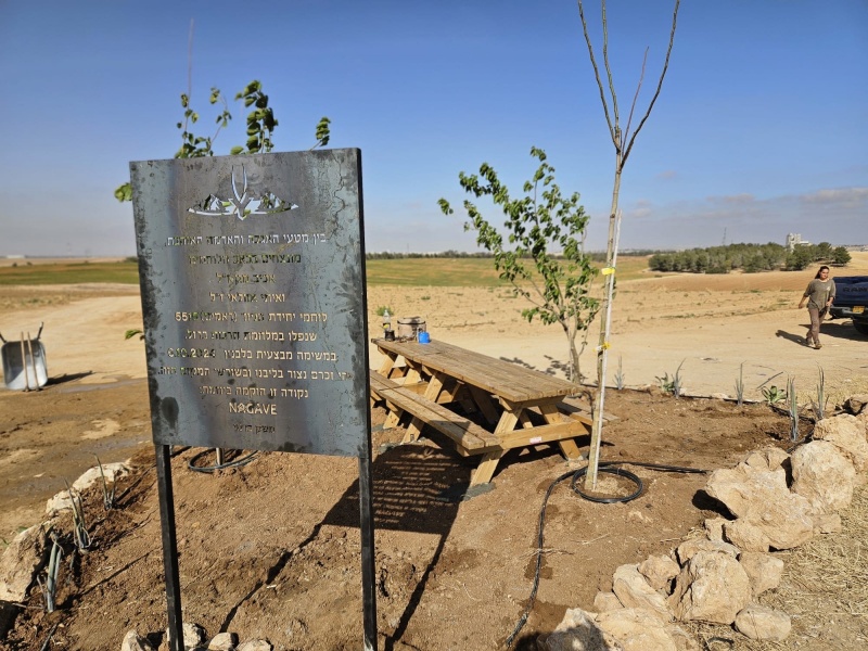 קובץ:2025-06-01T14 22 46.230887376127.jpg