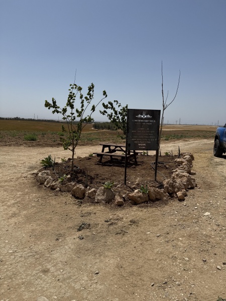 קובץ:2025-06-01T14 23 22.166634879507.jpg