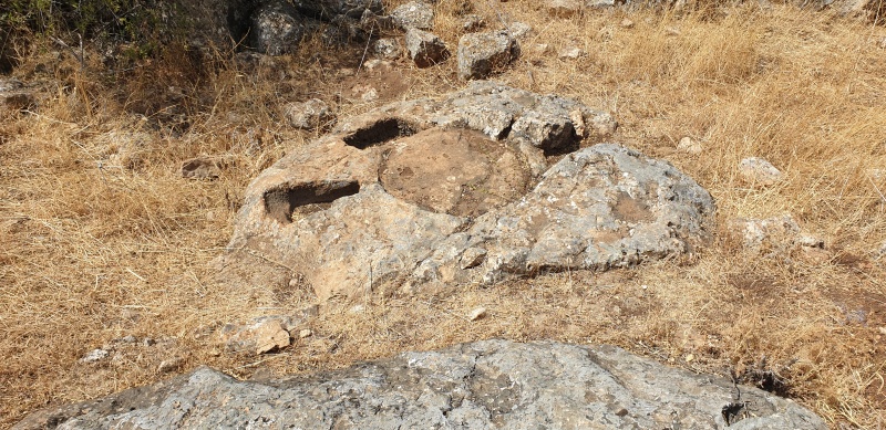 קובץ:2025-06-01T15 03 53.505802105043.jpg