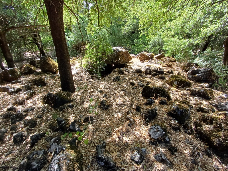 קובץ:2025-06-01T15 34 10.341949605106.jpg