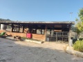 תמונה ממוזערת לגרסה מתאריך 14:19, 1 ביוני 2025