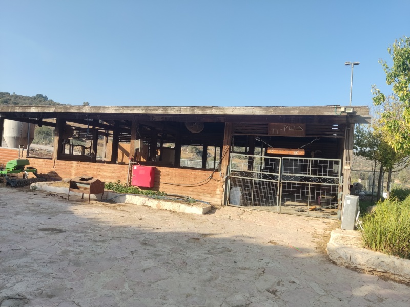 קובץ:2025-06-01T17 40 39.400772970329.jpg