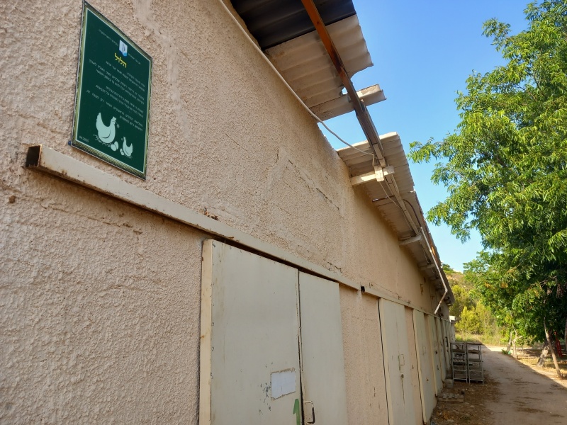 קובץ:2025-06-01T18 10 19.87971175057.jpg