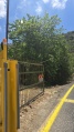 תמונה ממוזערת לגרסה מתאריך 07:56, 2 ביוני 2025