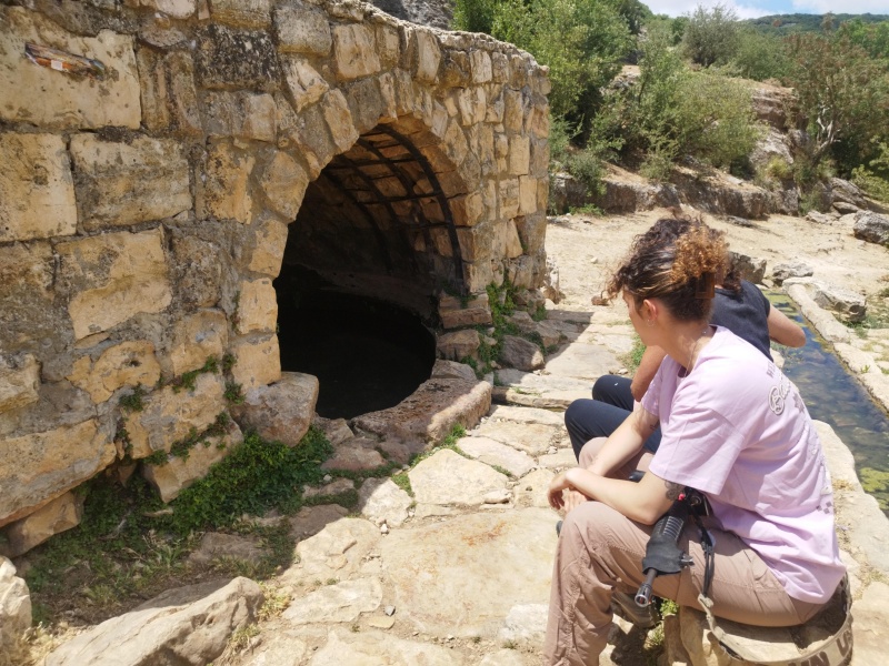 קובץ:2025-06-02T11 38 13.757208439586.jpg