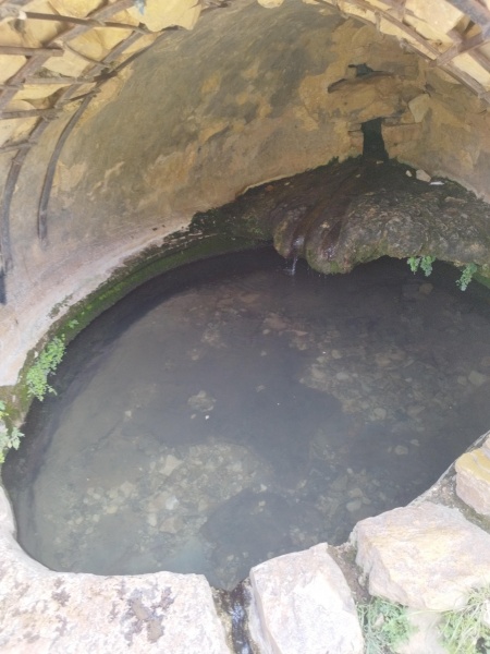 קובץ:2025-06-02T11 38 26.388848881444.jpg