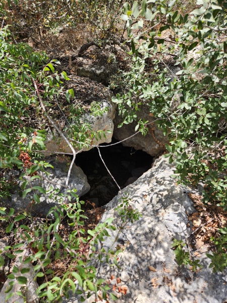 קובץ:2025-06-02T13 35 32.361525442798.jpg