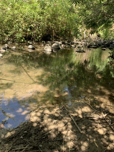 קובץ:2025-06-02T14 04 23.022682823514.jpg