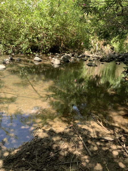 קובץ:2025-06-02T14 06 52.211950371585.jpg