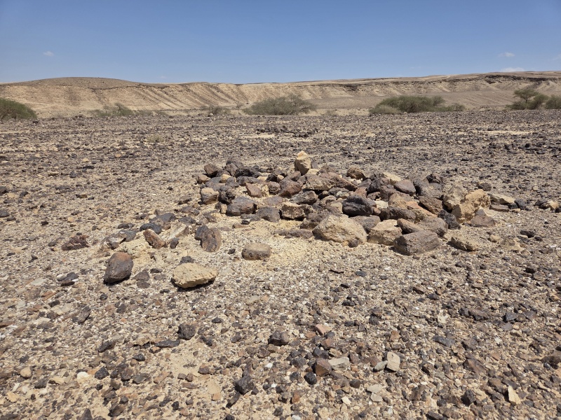 קובץ:2025-06-02T14 30 06.63538020090.jpg